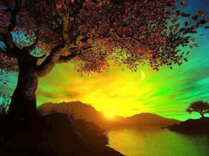 Tree over Lake at Sunset — Yellow