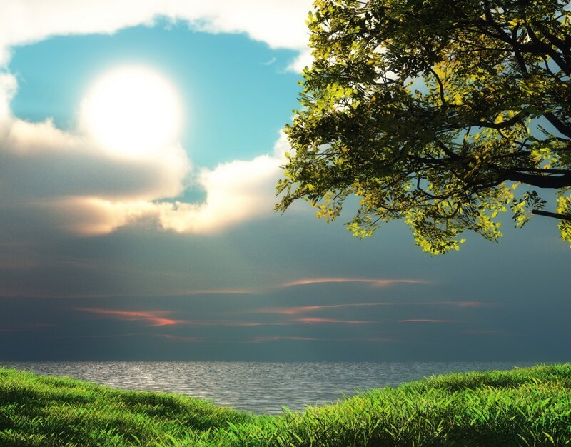 Tree over Water at Sunset