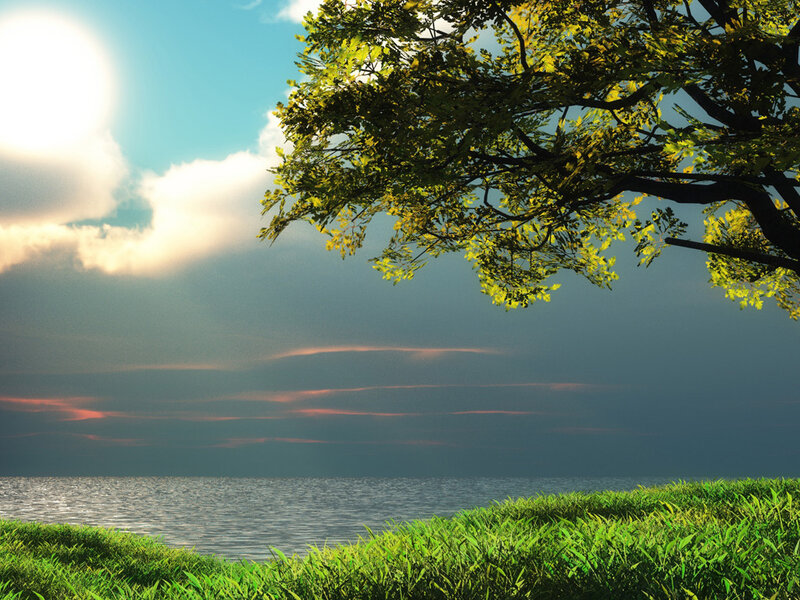 Tree over Water — Green, Serene, Sunset