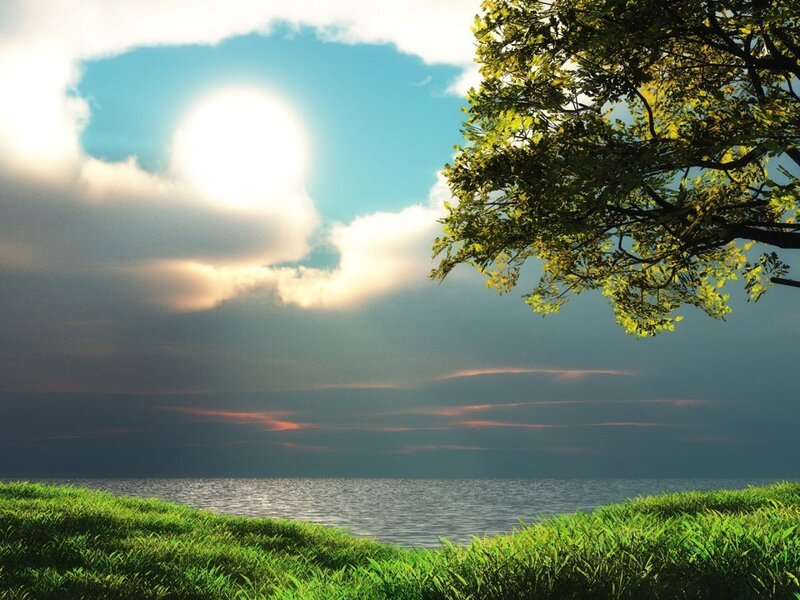 Tree over Water