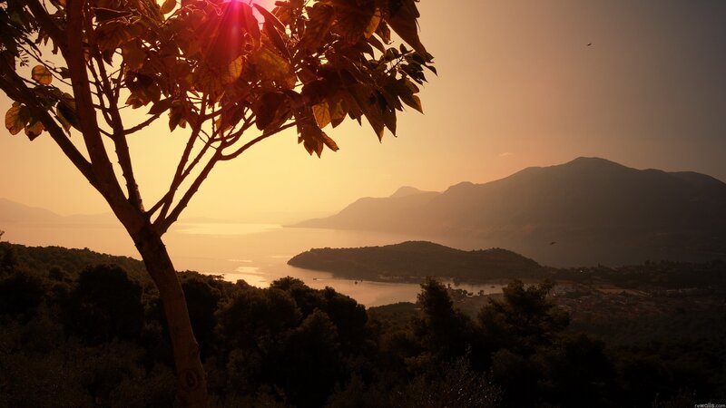 Tree Overlooking Bay — Orange, Serene, Sunset