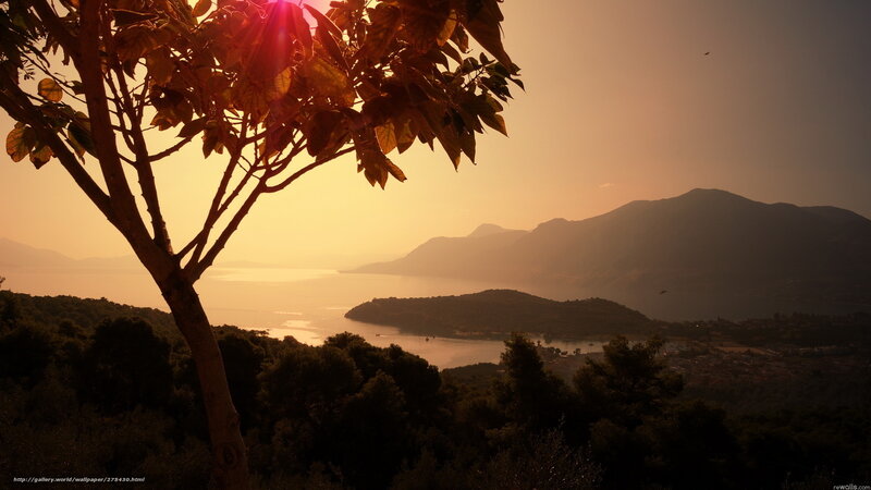 Tree Overlooking Bay — Orange