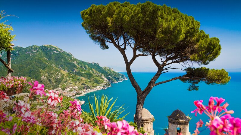 Tree Overlooking Coastline — Blue