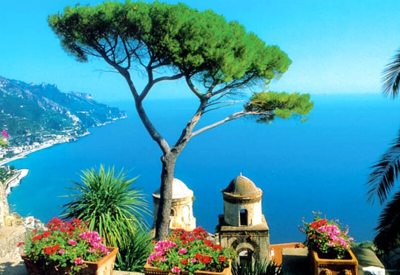 Tree Overlooking Sea — Blue, Serene