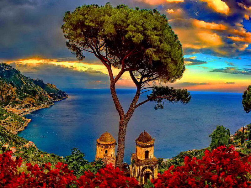 Tree Overlooking Sea — Blue