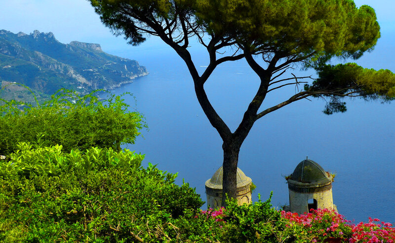 Tree Overlooking Sea — Green, Serene