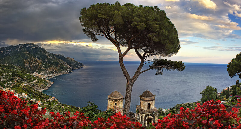 Tree Overlooking Sea