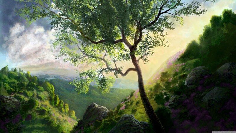 Tree Overlooking Valley — Green