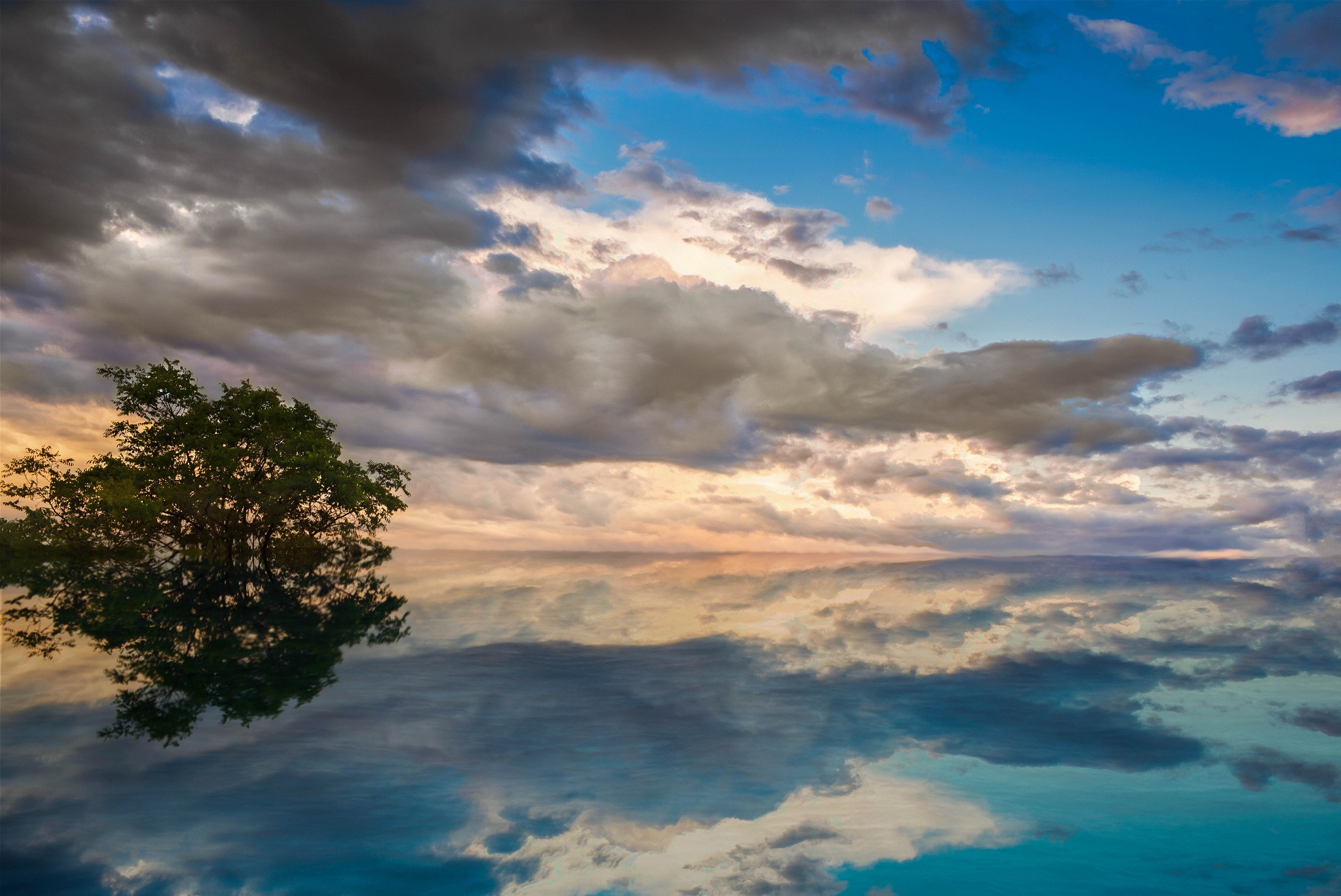 Tree reflected in calm water