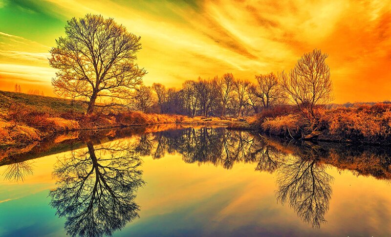 Tree Reflecting in River — Yellow