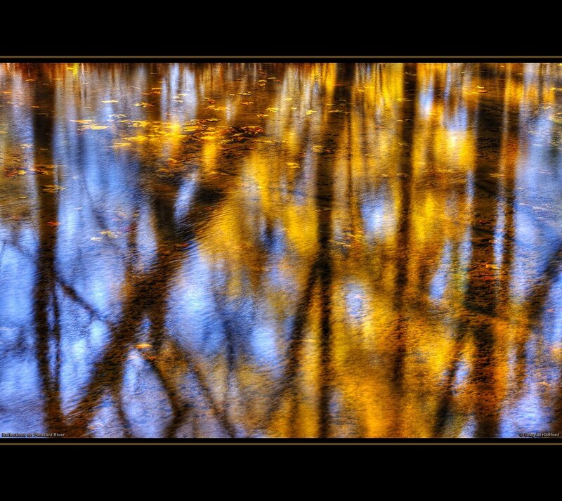 Tree Reflections in Water — Yellow