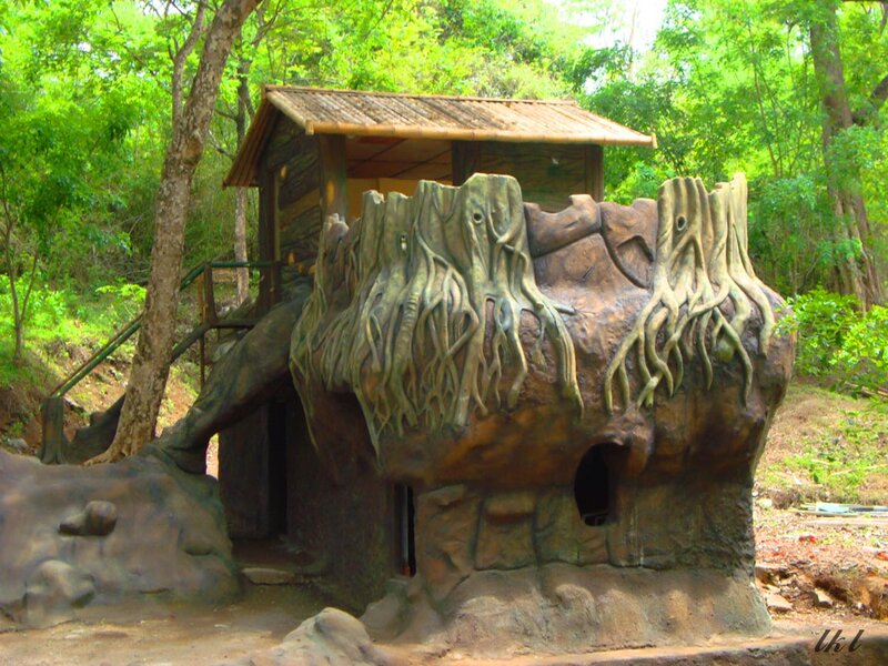 Tree-root House Structure