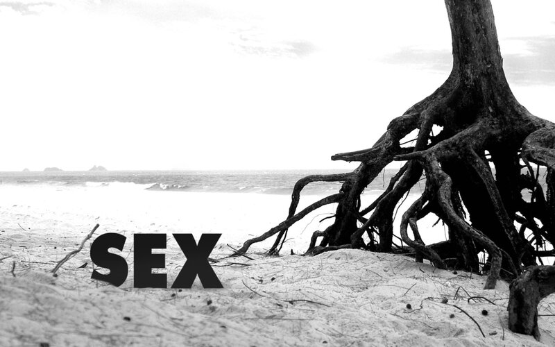 tree roots on a beach