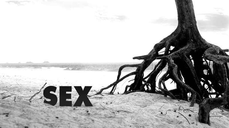 Tree Roots on Beach
