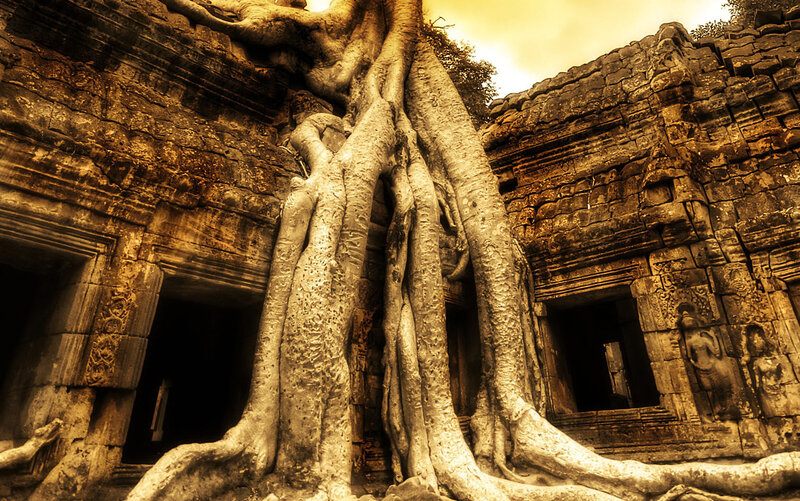 Tree Roots on Temple — Brown, Dramatic