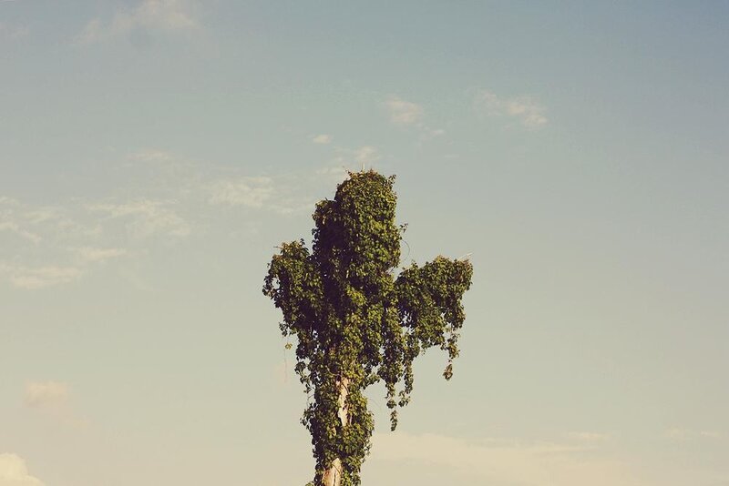 tree shaped like a cross