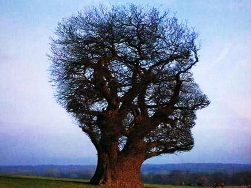 Tree Shaped Like a Head — Blue