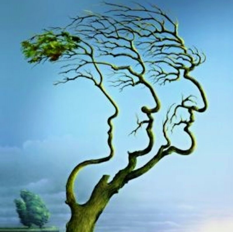 Tree Shaped Like Faces