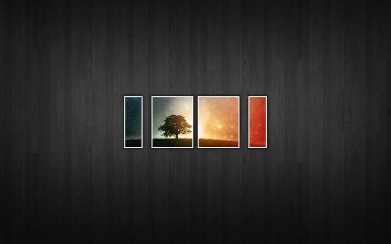 Tree Silhouette at Night — Black