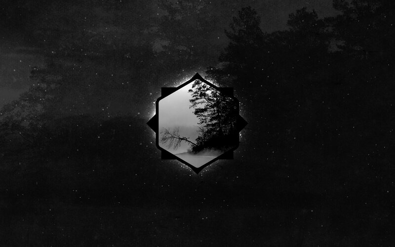 Tree Silhouette in Frame