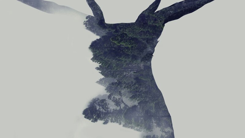 Tree Silhouette