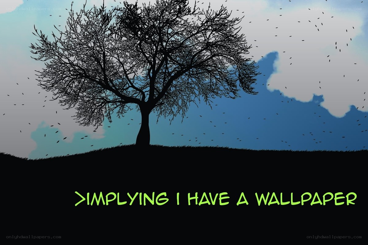 tree silhouette wallpaper