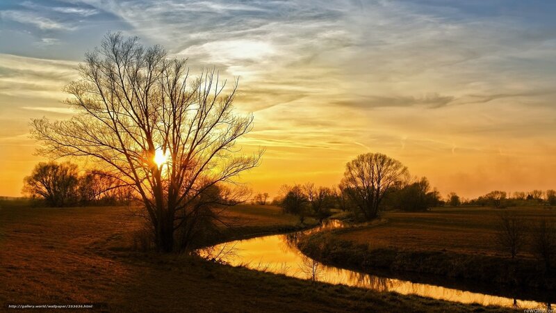 Tree Silhouetted at Sunset — Orange, Serene, Photograph, River