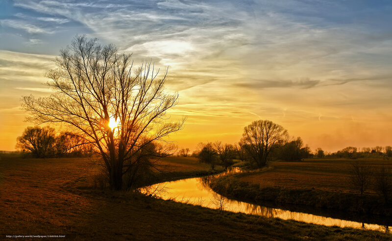 Tree Silhouetted at Sunset — Orange, Serene, Photograph
