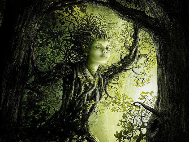 tree spirit in forest