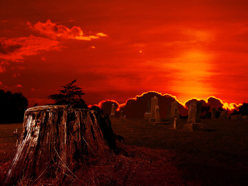 Tree Stump in Cemetery