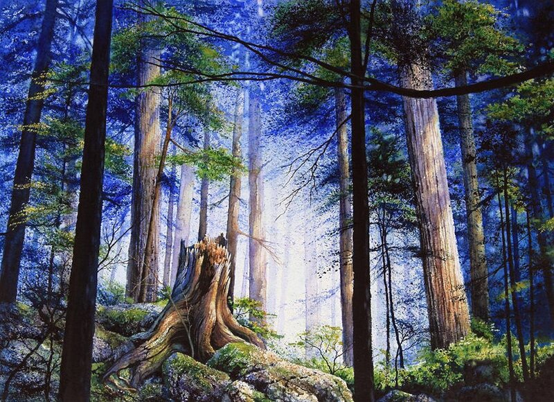 Tree Stump in Forest — Blue