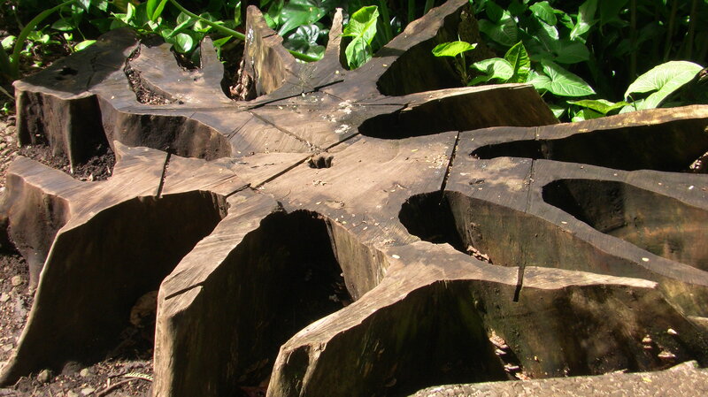 Tree Stump Structure