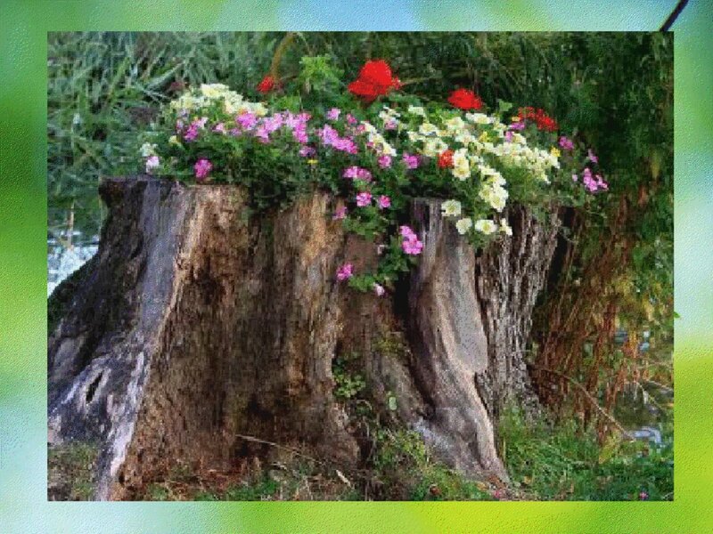 Tree Stump with Flowers — Green