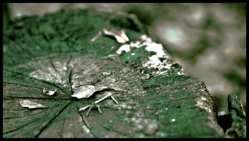 Tree Stump with Moss — Green, Natural