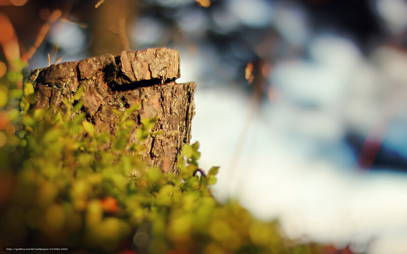 Tree Stump with Moss — Green