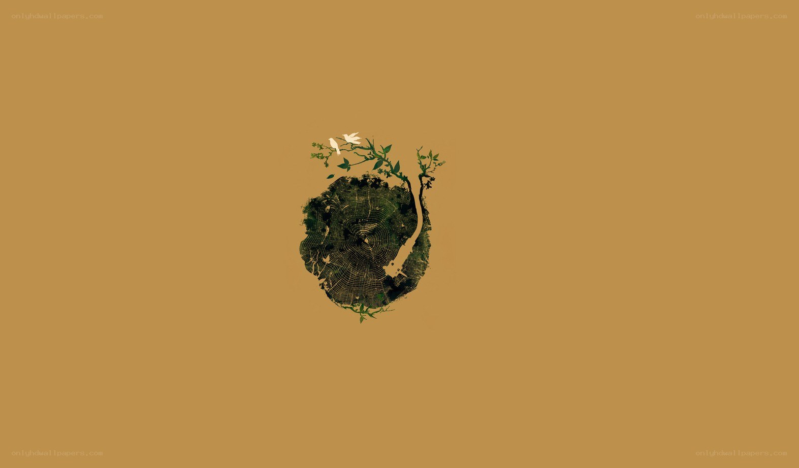 tree stump with sprouting plant