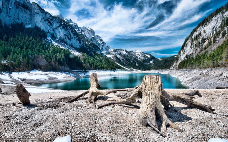 Tree Stumps by Lake — Blue, Dramatic