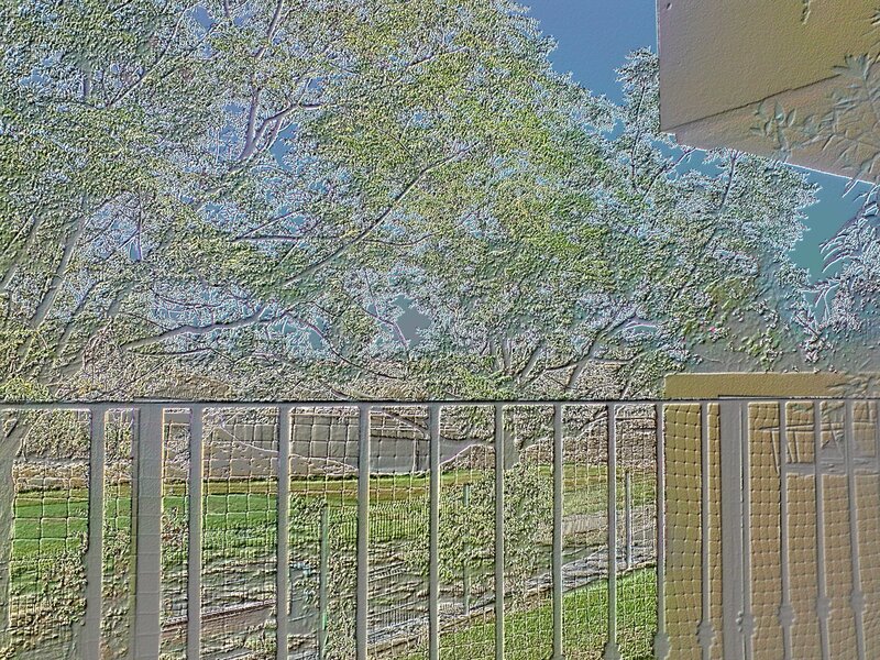 Tree Through Fence