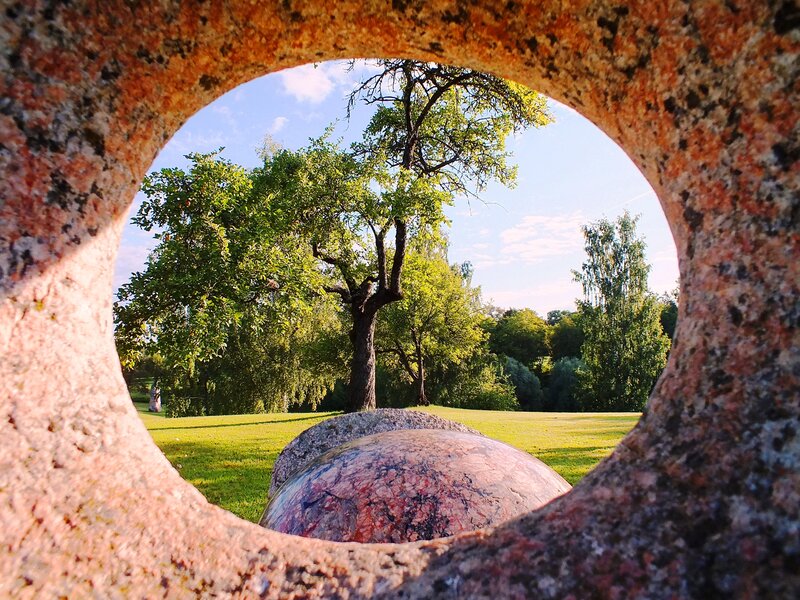 Tree Through Stone Hole