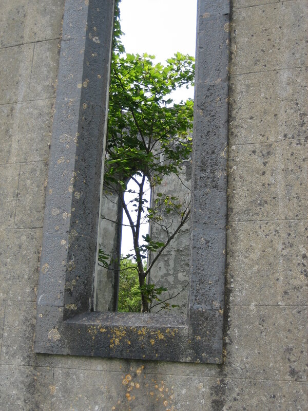tree through stone window