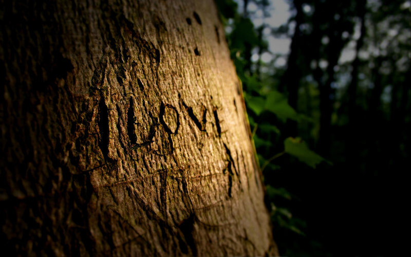 Tree Trunk with Carving — Brown, Dramatic