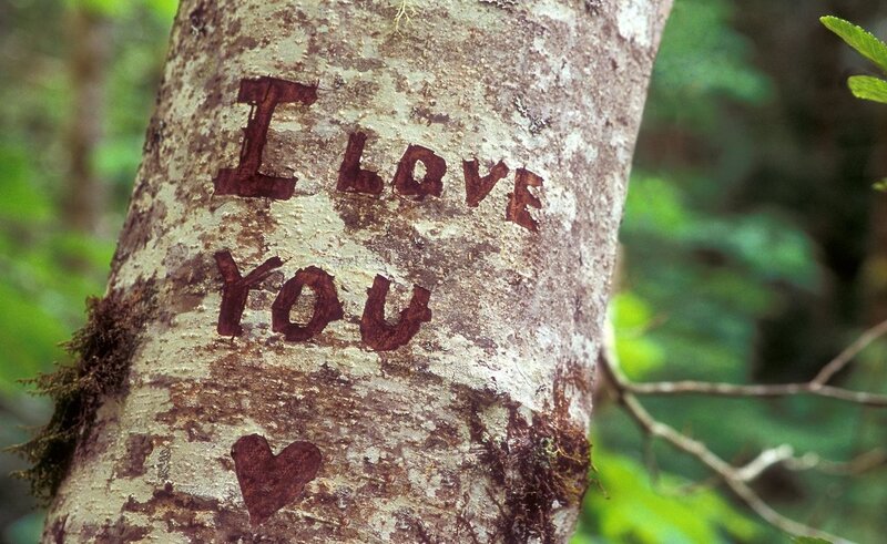Tree Trunk with Carving