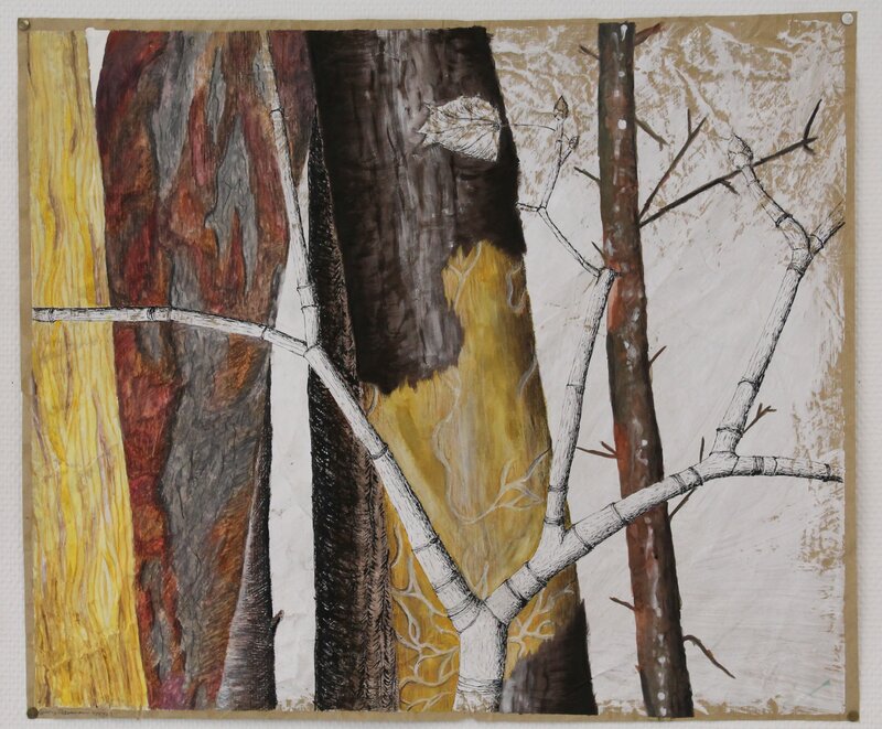 Tree Trunks and Branches