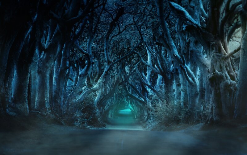 Tree Tunnel Path — Blue
