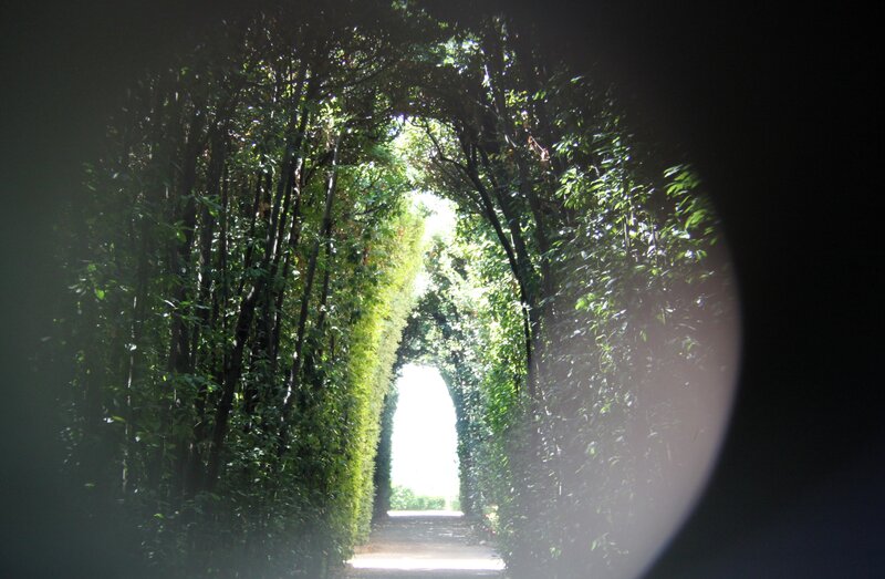 Tree Tunnel Path — Green