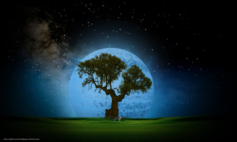 Tree under a blue moon