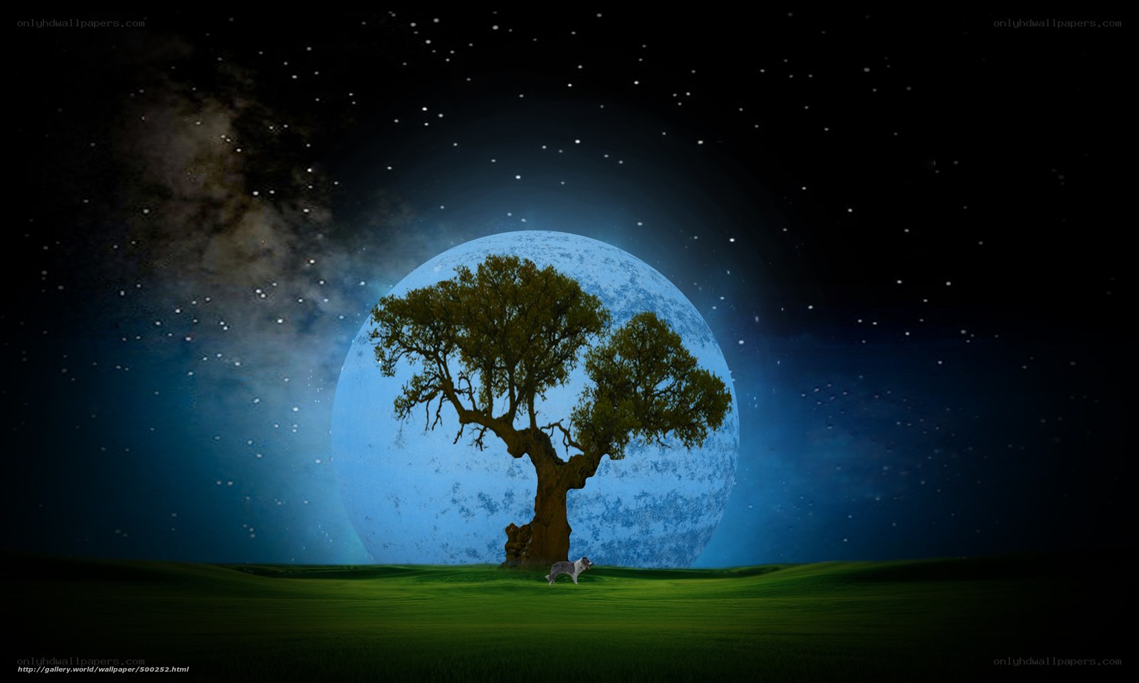 Tree under a blue moon