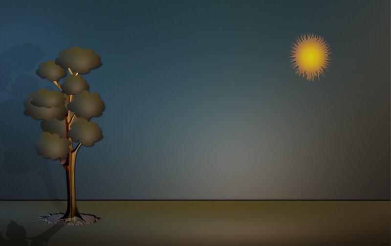 tree under a bright sun