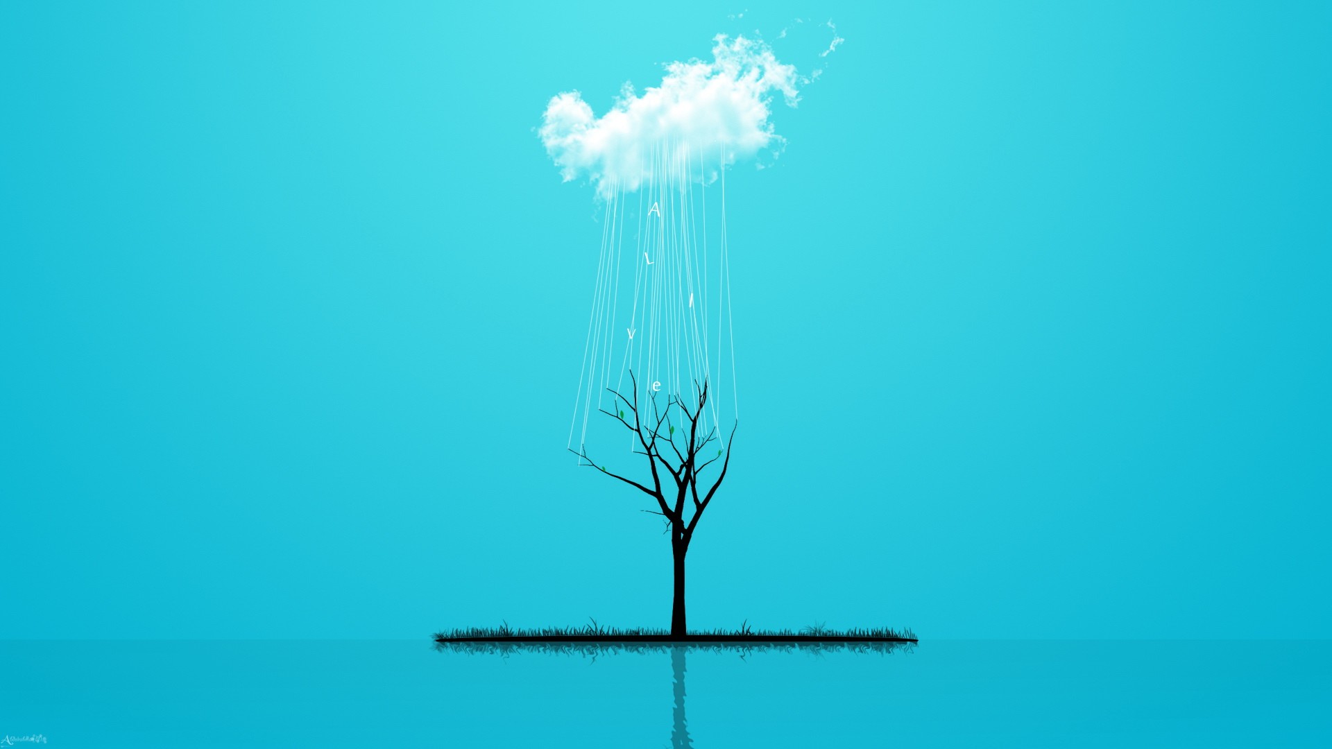 tree under a cloud