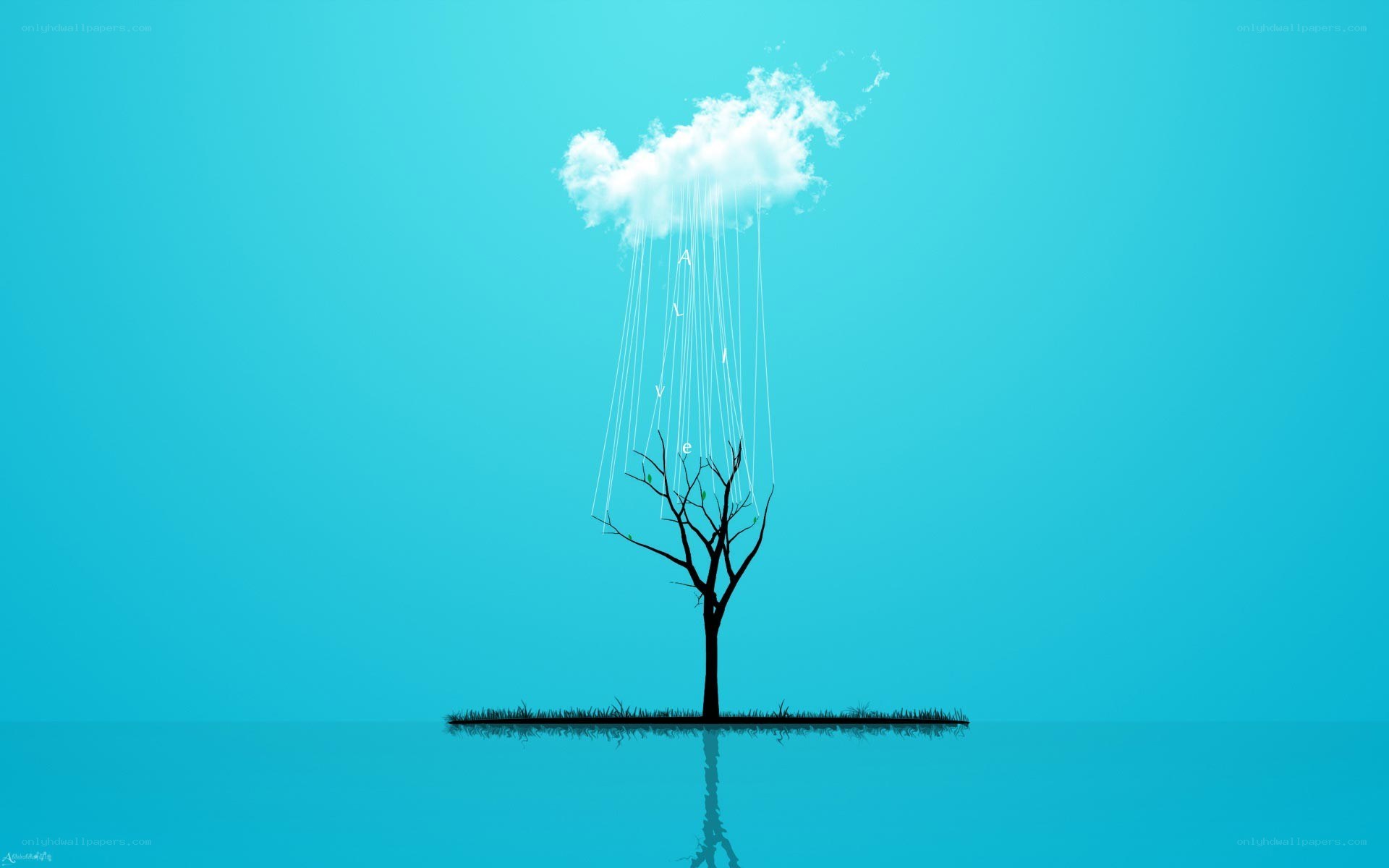 tree under a cloud
